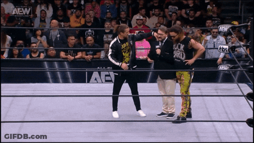 A Group Of Wrestlers Are Standing In A Ring With Aew Written On The Side Of The Ring GIF