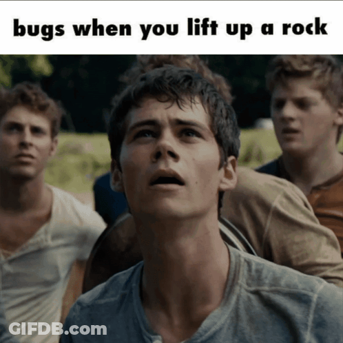 A Group Of Young Men Are Looking Up At The Sky With The Caption Bugs When You Lift Up A Rock GIF