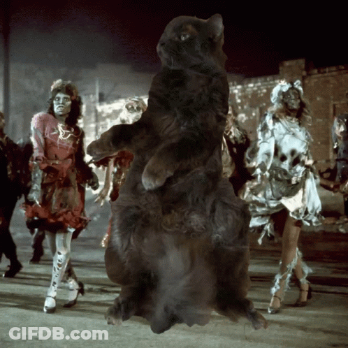 A Group Of Zombies Are Walking Down A Street With A Black Cat Standing In The Middle GIF