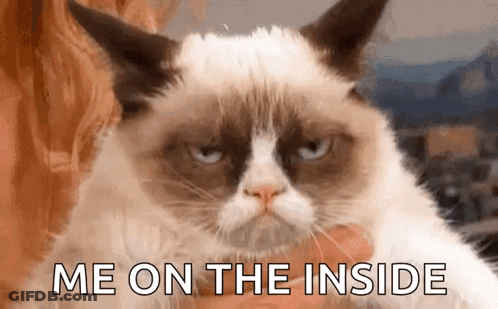 Grumpy Cat Being Held Says Me On The Inside GIF