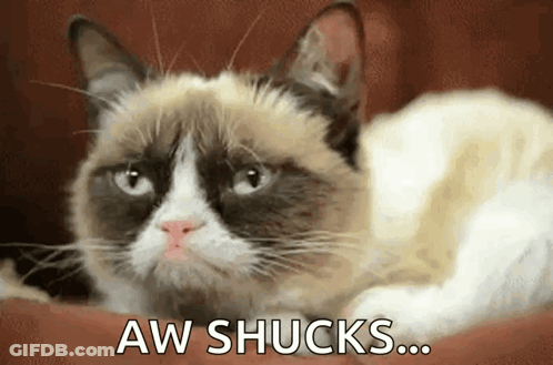 A Grumpy Cat Is Laying Down With The Words Aw Shucks Written Below It GIF
