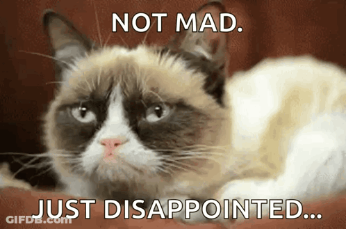 A Grumpy Cat Is Laying Down With The Words Not Mad Just Disappointed GIF