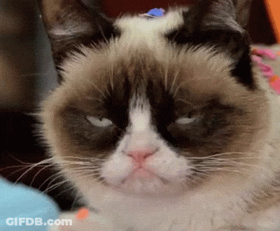 A Grumpy Cat Is Looking At The Camera With A Serious Look On Its Face GIF