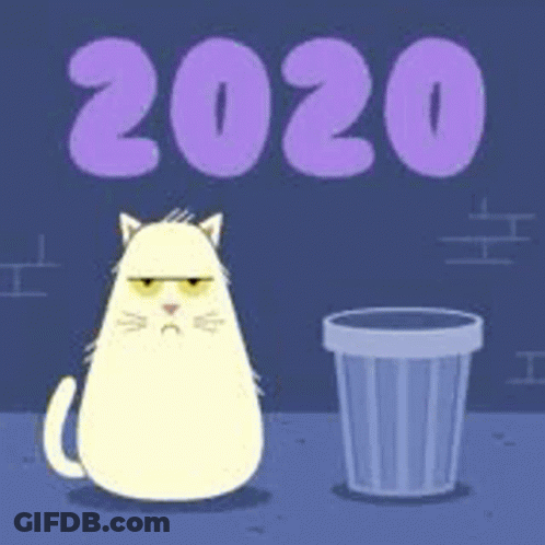A Grumpy Cat Is Sitting Next To A Trash Can With The Year 2020 On It . GIF