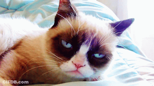 A Grumpy Cat Laying On A Bed With A Serious Look On Its Face GIF