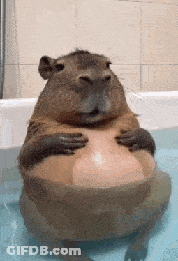 A Guinea Pig Is Sitting In A Bathtub Holding A Ball GIF