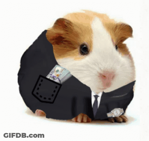 A Guinea Pig Is Wearing A Suit And Tie With A Pocket Full Of Money GIF