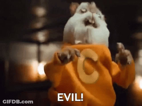 A Guinea Pig Wearing An Orange Sweater With The Letter C On It Is Making A Funny Face . GIF