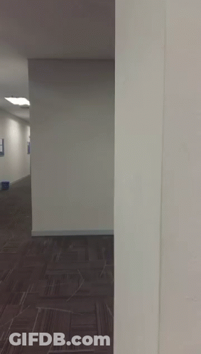 A Hallway With A Carpeted Floor And A White Wall GIF
