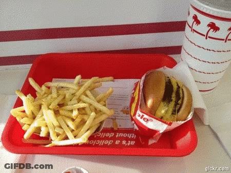 A Hamburger And French Fries On A Tray That Says It 'S A Delicious Without Delight GIF