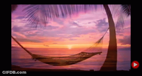 A Hammock Is Hanging From A Palm Tree On The Beach At Sunset GIF
