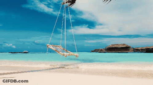 A Hammock Swing Hangs From A Palm Tree Over A Beach GIF