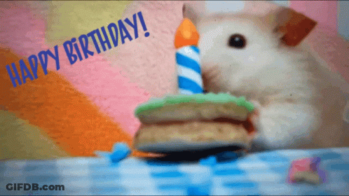 A Hamster Eating A Birthday Cake With A Candle And The Words Happy Birthday Behind It GIF