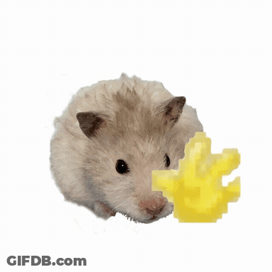 A Hamster Holding A Piece Of Cheese With The Words Hello Written Above It GIF