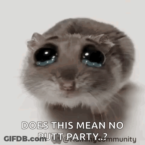 A Hamster Is Crying With Tears Coming Out Of Its Eyes And The Words `` Does This Mean No Putt Party ? '' GIF
