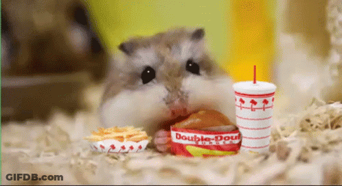 A Hamster Is Eating A Hamburger And French Fries Next To A Double Donut Cup GIF
