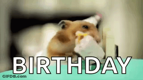 A Hamster Is Eating A Piece Of Cake With The Words `` Birthday '' Written Above It . GIF
