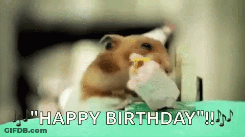 A Hamster Is Eating A Piece Of Cake With The Words `` Happy Birthday '' In The Background . GIF
