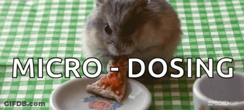 A Hamster Is Eating A Slice Of Pizza With The Words Micro-Dosing Written Above It GIF