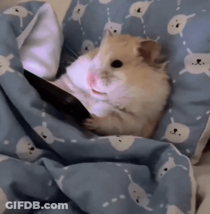 A Hamster Is Laying Under A Blue Blanket With White Cats On It GIF