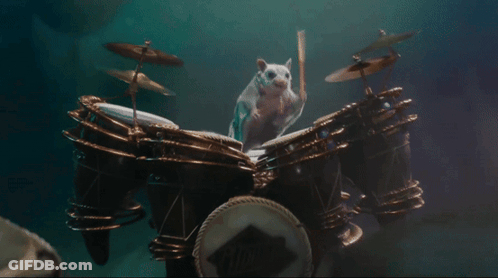 A Hamster Is Playing A Set Of Drums GIF