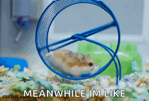 A Hamster Is Running In A Blue Hamster Wheel With The Words Meanwhile Im Like Below It GIF
