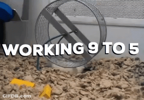 A Hamster Is Running On A Hamster Wheel With The Words " Working 9 To 5 " Below It GIF