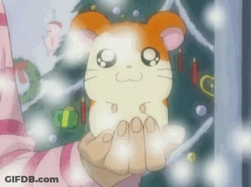 A Hamster Is Sitting In A Person 'S Hand In Front Of A Christmas Tree . GIF