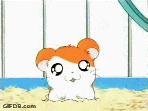 A Hamster Is Sitting In A Sandbox In A Cage Looking At The Camera . GIF