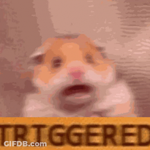 A Hamster Is Sitting Next To A Yellow Sign That Says Triggered . GIF