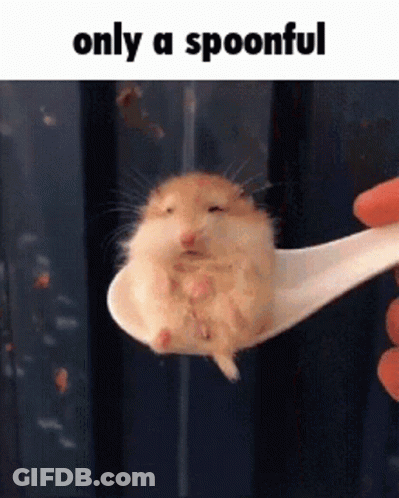 A Hamster Is Sitting On A White Spoon With The Words Only A Spoonful Above It GIF