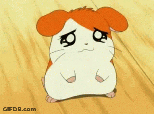 A Hamster Is Sitting On A Wooden Floor And Crying . GIF
