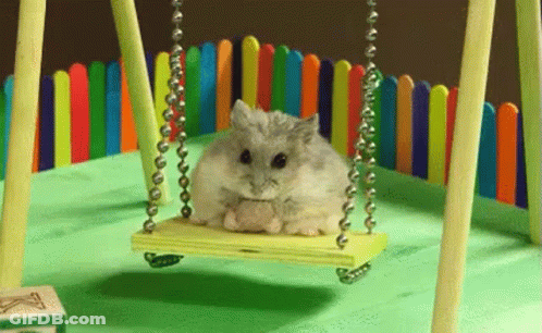 A Hamster Is Sitting On A Wooden Swing In A Toy Garden . GIF