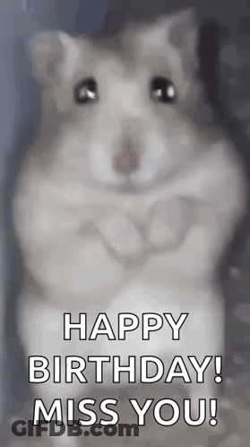 A Hamster Is Standing In Front Of A Glass Door And Says `` Happy Birthday ! Miss You ! '' GIF