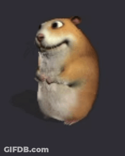 A Hamster Is Standing On Its Hind Legs And Looking At The Camera With Its Mouth Open . GIF