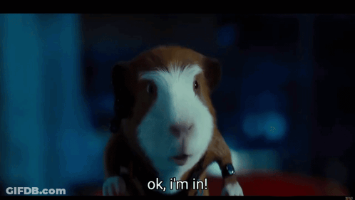 A Hamster Says Ok I 'M In In A Movie Scene GIF