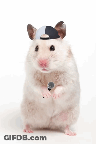 A Hamster Wearing A Hat Holds A Microphone GIF