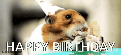 A Hamster Wearing A Party Hat Is Eating A Piece Of Cake With The Words Happy Birthday Behind It GIF