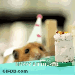 A Hamster Wearing A Party Hat Is Sitting Next To A Small Cake . GIF