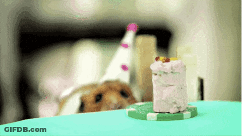 A Hamster Wearing A Party Hat Looks At A Small Cake On A Poker Chip GIF