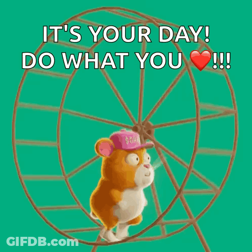 A Hamster Wearing A Pink Hat Is Running On A Ferris Wheel And Says It 'S Your Day GIF