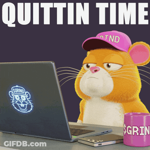 A Hamster Wearing A Pink Hat Is Sitting In Front Of A Laptop Computer GIF