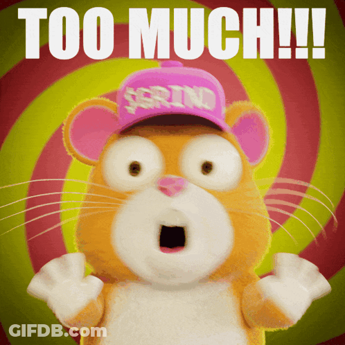A Hamster Wearing A Pink Hat That Says " Too Much " On It GIF