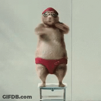 A Hamster Wearing A Red Swim Cap And Goggles Is Standing On A Stool . GIF