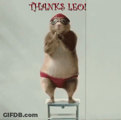 A Hamster Wearing A Swim Cap And Goggles Stands On A Stool With The Words Thanks Leo Above It GIF