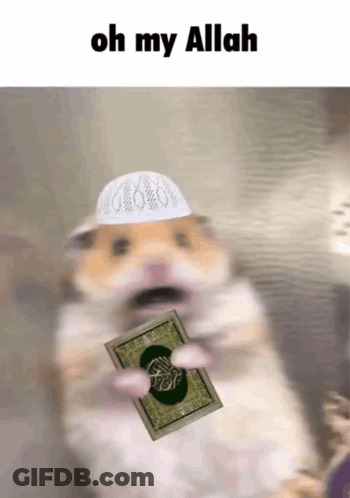 A Hamster Wearing A White Hat And Holding A Book With The Words Oh My Allah Above It GIF