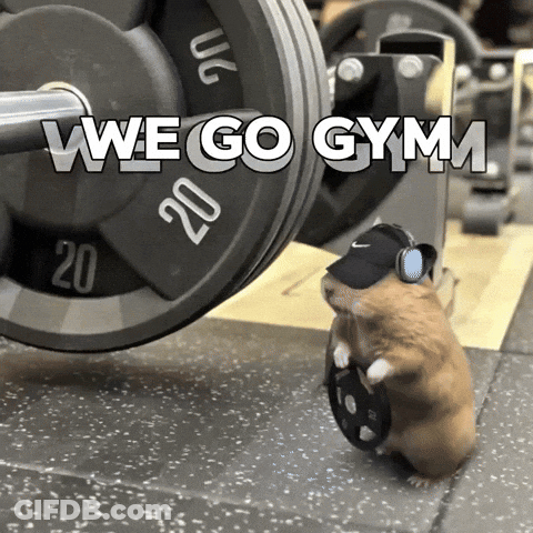 A Hamster Wearing Headphones Holds A Weight Plate In Front Of A Barbell With The Words We Go Gym On It GIF