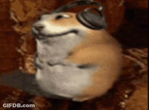 A Hamster Wearing Headphones Is Smiling While Sitting On A Couch . GIF