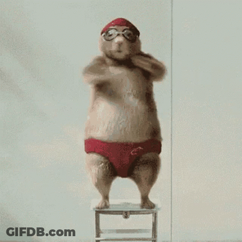 A Hamster Wearing Red Swim Trunks And A Swim Cap Is Jumping Off A Stool GIF