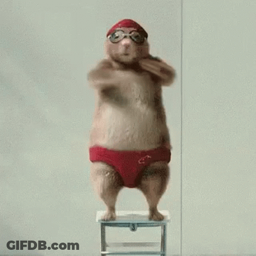 A Hamster Wearing Red Swim Trunks And Goggles Is Jumping Off A Stool . GIF
